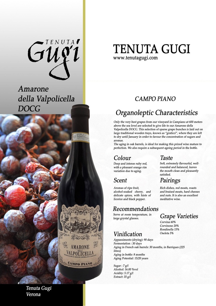 CAMPO PIANO VINO TINTO AMARONE DELLA VALPOLICELLA DOCG 2017 750ML [TGAVP750]