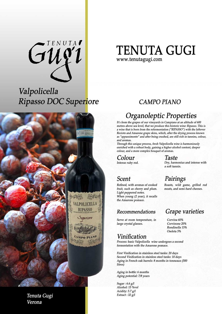 CAMPO PIANO VINO TINTO AMARONE DELLA VALPOLICELLA DOCG 2017 750ML [TGAVP750]